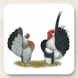 Posavasos Serama Bantams