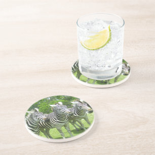 Posavasos Serenidad Safari: Safari, País de León de Tres Ceb