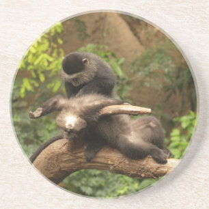 Posavasos Serie Animal: Mono buscando flores