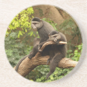 Posavasos Serie animal: par de monos