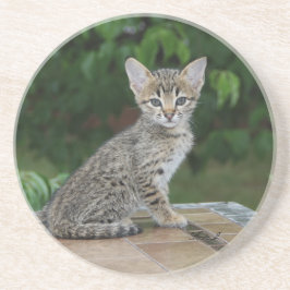 Posavasos Serie Cat—Serval Savannah Cat—Coaster