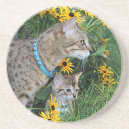 Posavasos Serie Cat—Serval Savannah Cat—Coaster