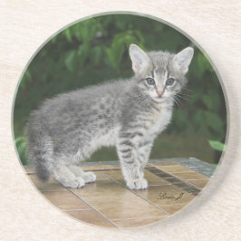 Posavasos Serie Cat—Serval Savannah Cat—Coaster