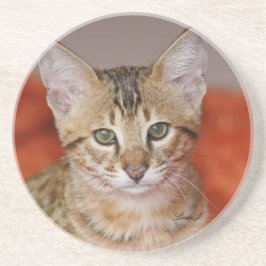 Posavasos Serie Cat—Serval Savannah Cat—Coaster