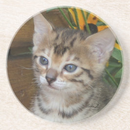 Posavasos Serie Cat—Serval Savannah Cat—Coaster