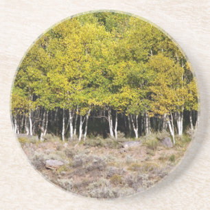 Posavasos Serie Escenaria: Audífono de crecimiento