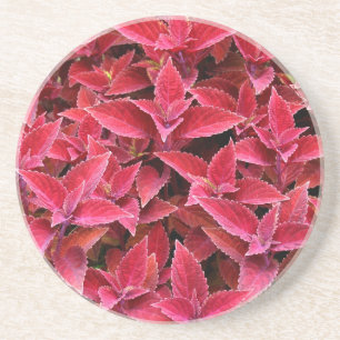 Posavasos Serie Planta/Flor: escayola de color rojo