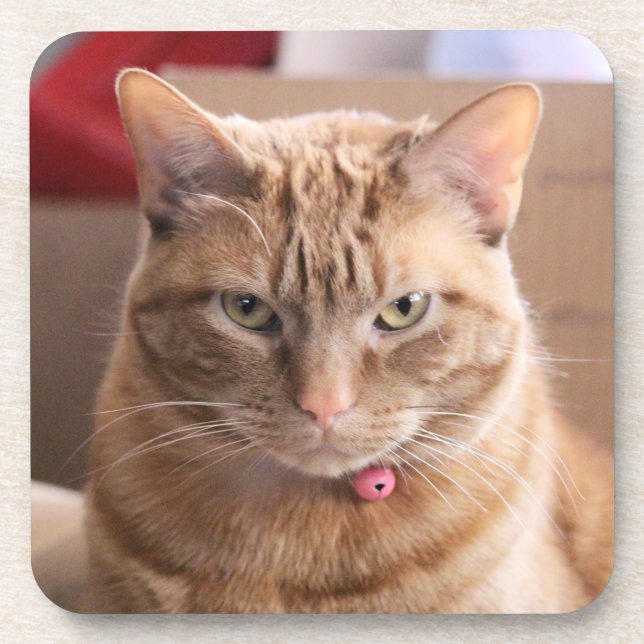 Posavasos Serio (Frente)