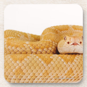Posavasos Serpiente de cascabel de diamondback occidental