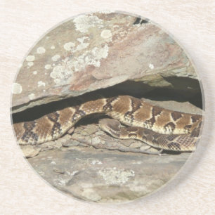 Posavasos Serpiente de cascabel en el Parque Nacional Shenan