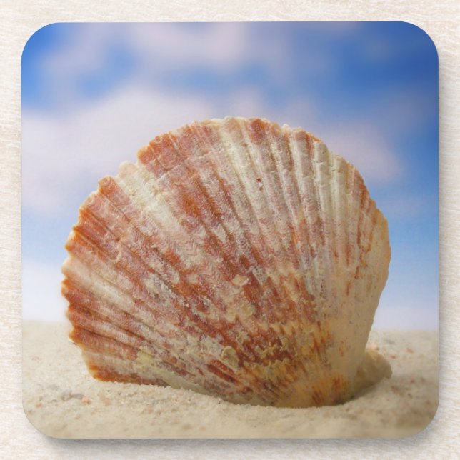 Posavasos Shell apoyado en la arena (Frente)