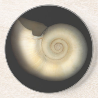 Posavasos Shell - conquiliología - nautilus