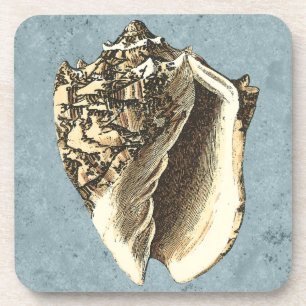 Posavasos Shell de conchas encalladas