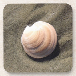 Posavasos Shell de mar