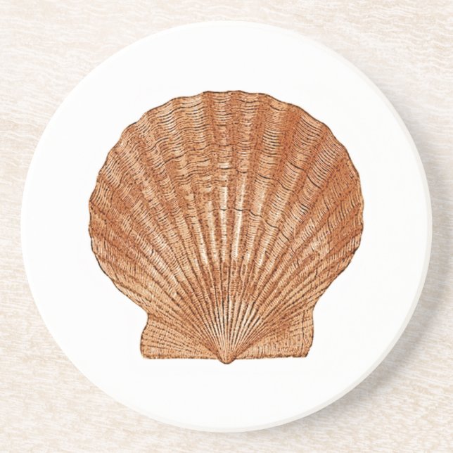 Posavasos Shell de vieira de bahía (Frente)