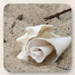 Posavasos Shell Decorativo En Arena