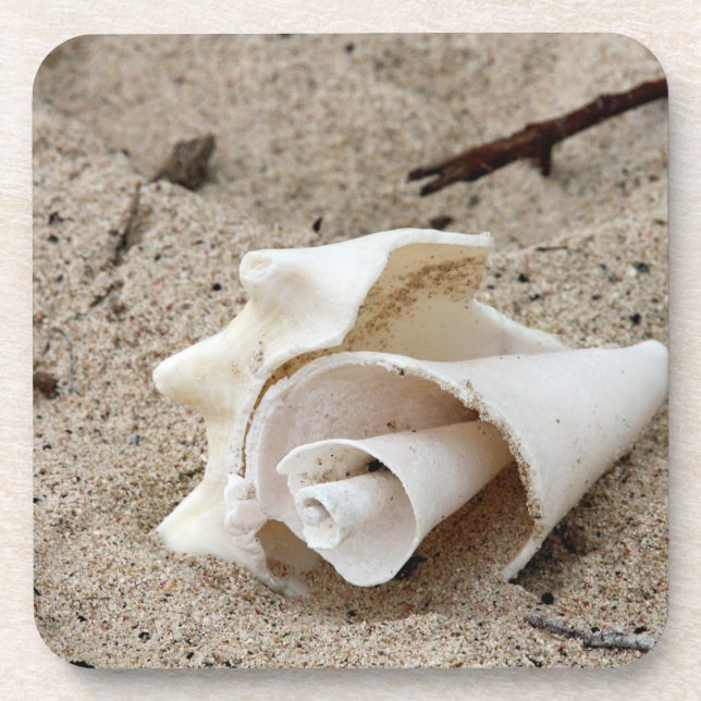 Posavasos Shell Decorativo En Arena (Frente)