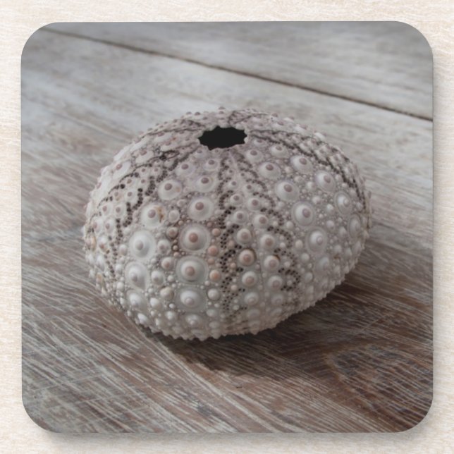 Posavasos Shell encima de una tabla de madera (Frente)
