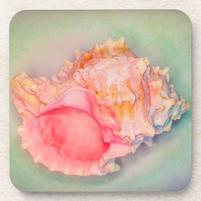 Posavasos Shell tropical (Frente)