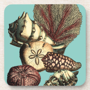 Posavasos Shell turquesa y colección de corales rojos