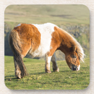 Posavasos Shetland Pony en pastizal cerca de acantilados alt