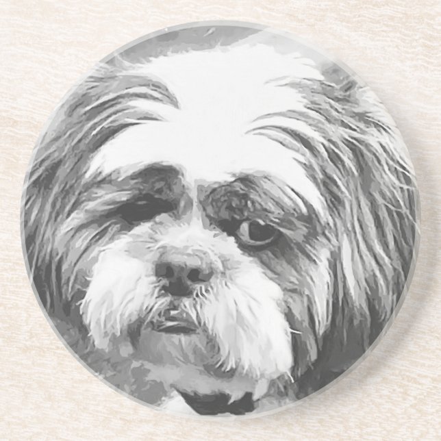 POSAVASOS SHIH TZU DOG (Frente)