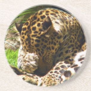Posavasos Shy Leopard
