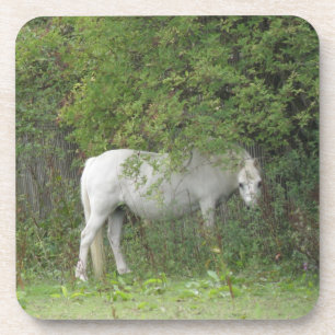 Posavasos Shy White Horse Cork Coaster
