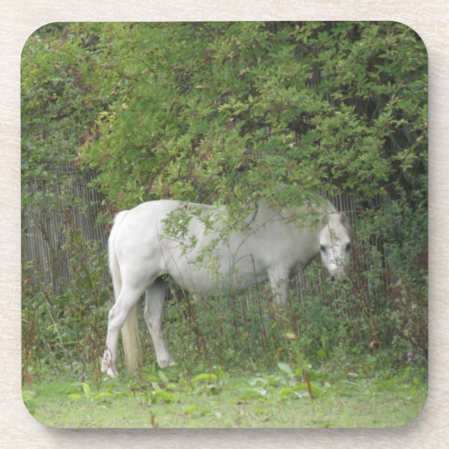 Posavasos Shy White Horse Cork Coaster (Frente)