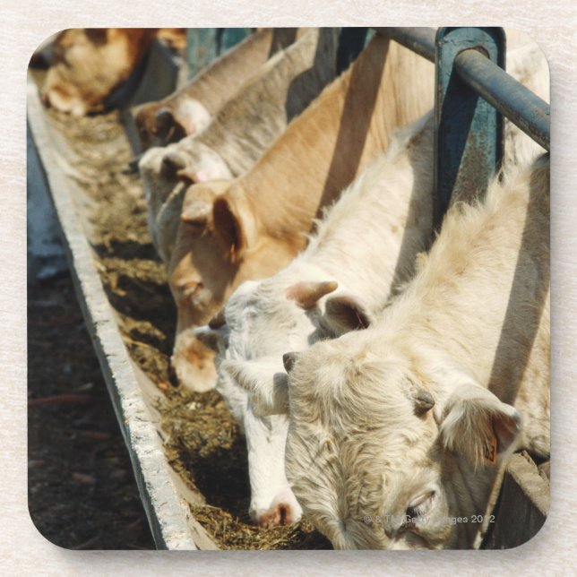 Posavasos Sicilia, Italia (Frente)