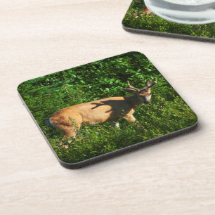 Posavasos Siga su camino