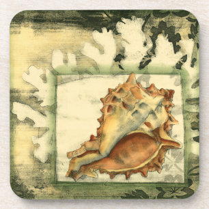 Posavasos Silhouette Conch Shell