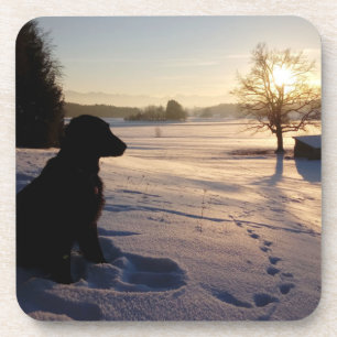 Posavasos Silhouette de perro en el paisaje de Snowy