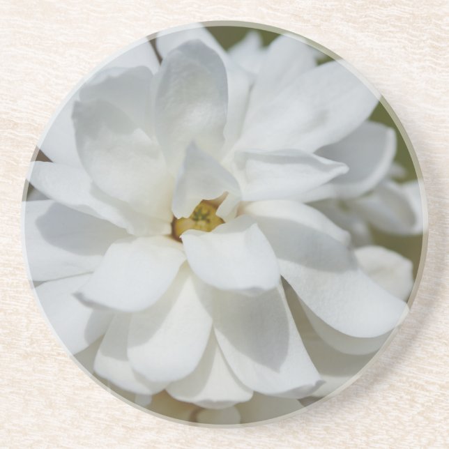 Posavasos Silky Magnolia (Frente)