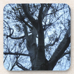 Posavasos Silueta de árbol Fotografías de corcho