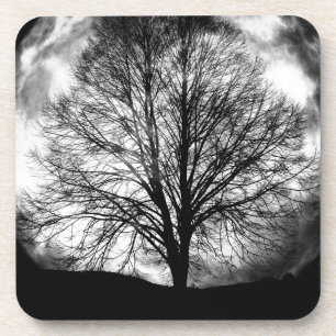 Posavasos Silueta de árbol frente a una luna llena