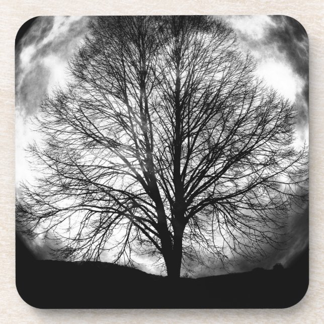 Posavasos Silueta de árbol frente a una luna llena (Frente)