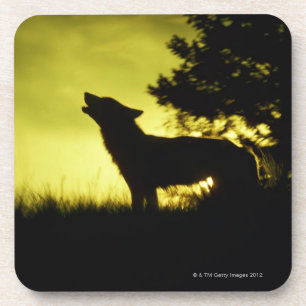 Posavasos Silueta del lobo que grita