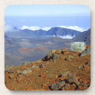 Posavasos Silversword en el borde del cráter Haleakala desde