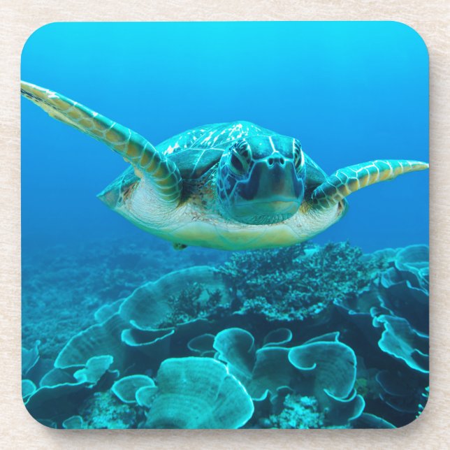 Posavasos Sistema de la tortuga de mar de 6 prácticos de (Frente)