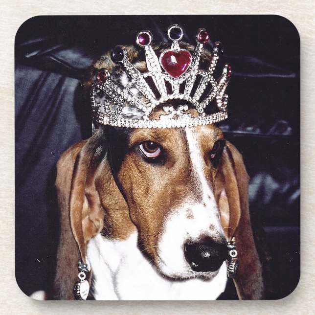 Posavasos Sistema del práctico de costa de Basset Hound de 6 (Frente)