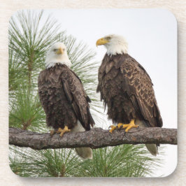 Posavasos Sistema del práctico de costa de H&O