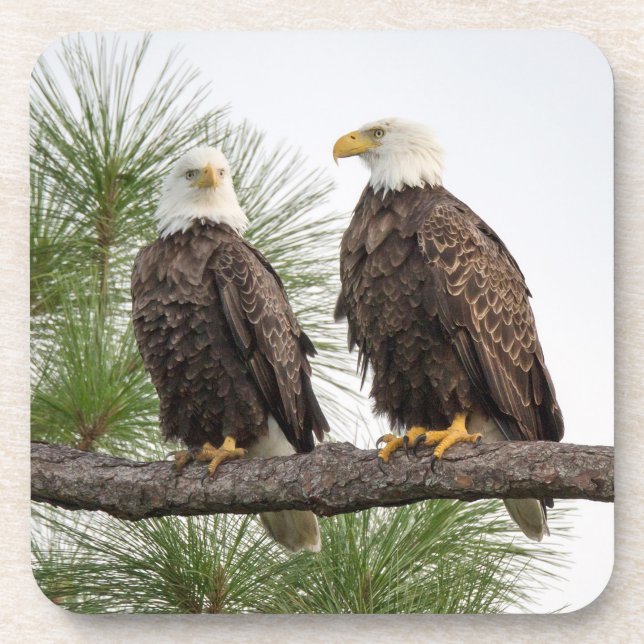 Posavasos Sistema del práctico de costa de H&O (Frente)