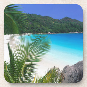 Posavasos Sistema tropical del práctico de costa de la playa