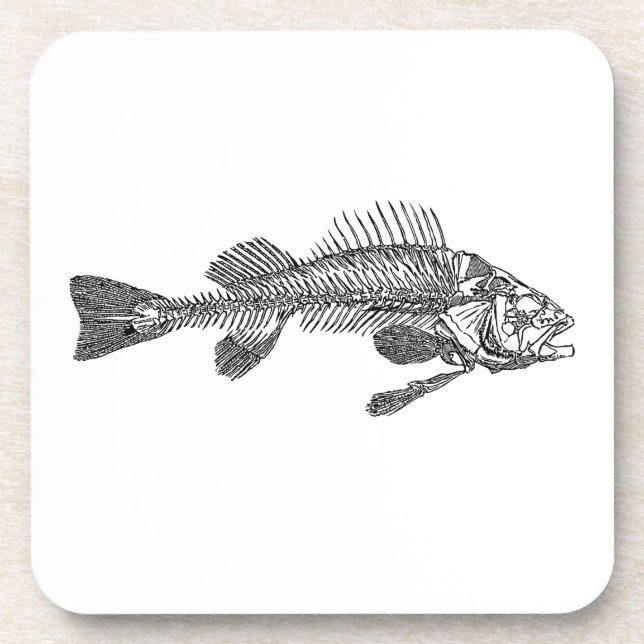 Posavasos Skeleton (Frente)