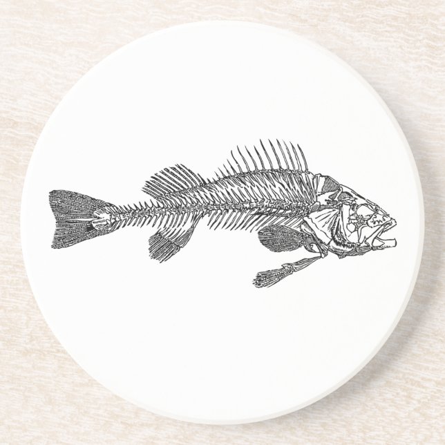 Posavasos Skeleton (Frente)