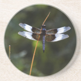 Posavasos Skimmer Dragonfly de viuda masculina