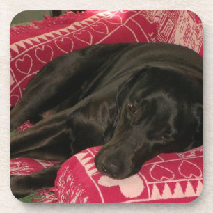 Posavasos Sleepe Dog Coasters - Conjunto de 6