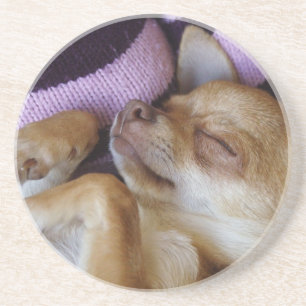 Posavasos Sleeping Chihuahua