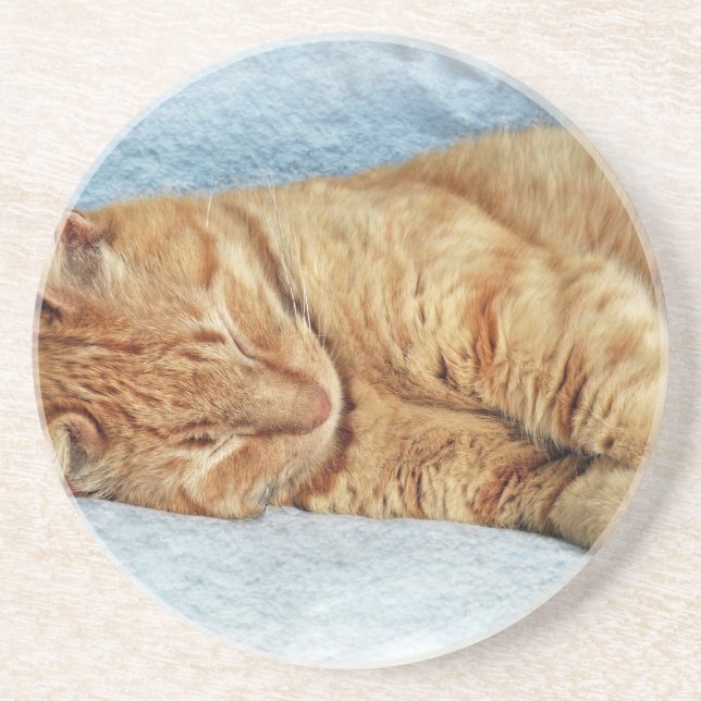 Posavasos Sleepy Kitty (Frente)